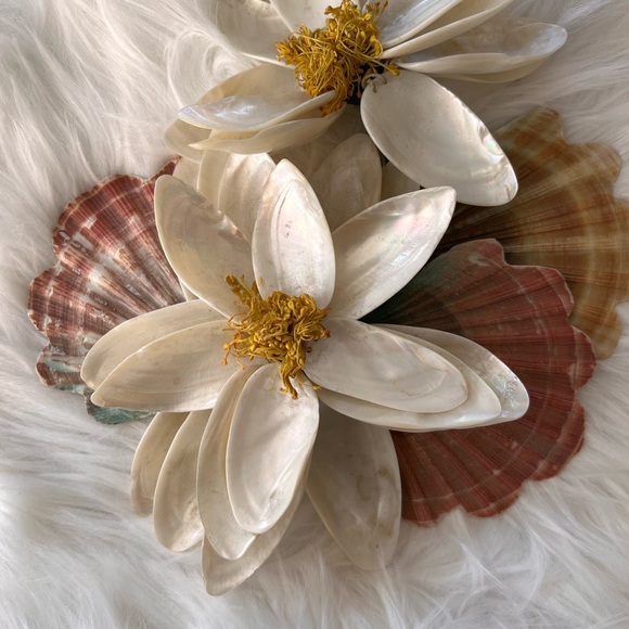 Shell magnolia pearlescent home decor mid century modern - Picture 4 of 9